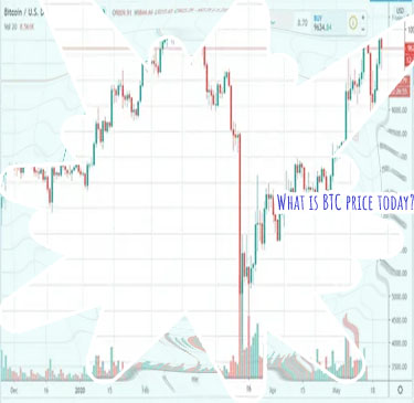 Btc live price