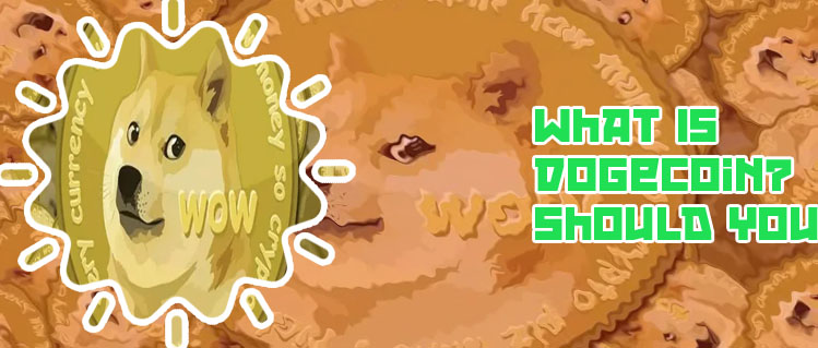 Dogecoin live ticker
