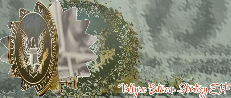 Rejects valkyrie bitcoin trusts
