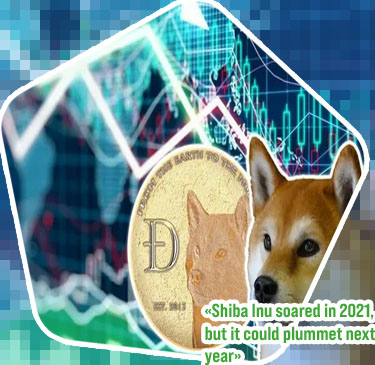Shiba inu cryptocurrency