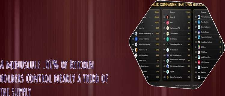 Who owns bitcoin